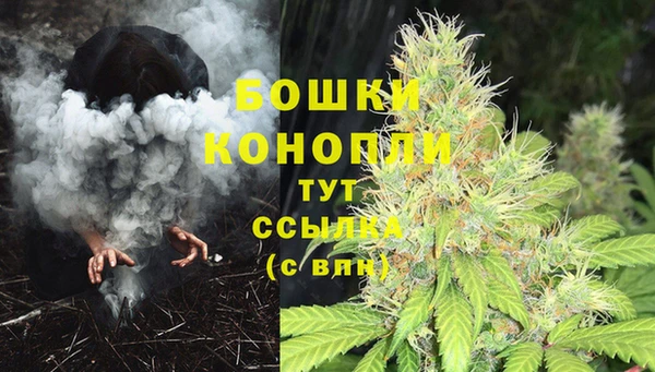гашик Балахна