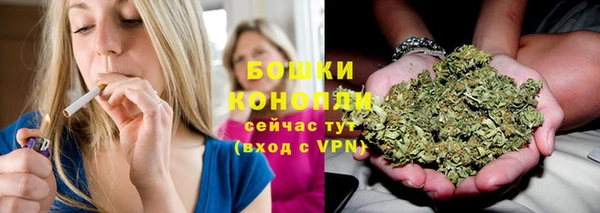 гашик Балахна