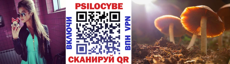 Псилоцибиновые грибы прущие грибы  Бронницы 